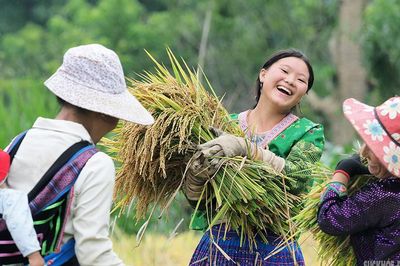 Vẻ đẹp bình dị của người phụ nữ Việt Nam: Từ phố thị đến vùng cao