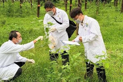 Những người đi trước hiểm họa...