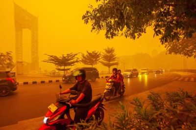 Cháy rừng tại Indonesia thiêu rụi gần 2 triệu ha đất, khói mù lan khắp khu vực