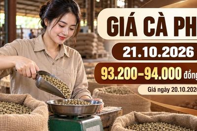 Giá cà phê hôm nay 21.10.2026: Trong nước tăng, hai sàn điều chỉnh