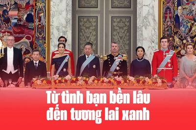 Từ tình bạn bền lâu đến tương lai xanh