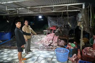 Triệt phá đường dây thu gom, tiêu thụ hàng trăm tấn lợn bệnh, lợn chết
