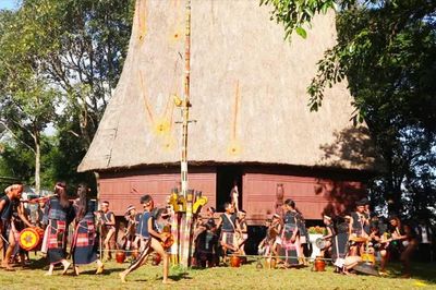 Gia Lai công bố chuỗi sự kiện Festival cồng chiêng, tuần lễ hoa dã quỳ