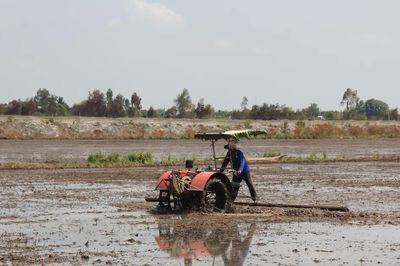Đồng Tháp Mười: Lũ rút, nông dân tranh thủ xuống giống vụ đông xuân