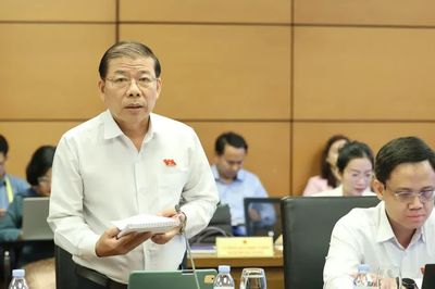 Đại biểu đề xuất ý kiến thiểu số vẫn nên được xem xét, giải trình minh bạch
