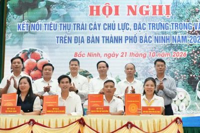 Bắc Ninh kết nối tiêu thụ hơn 118.500 tấn trái cây chủ lực