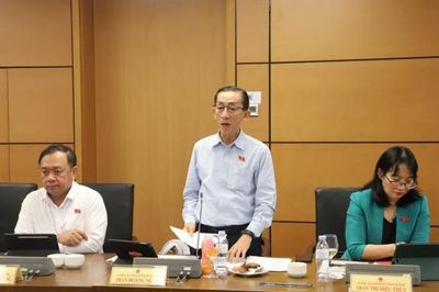 ĐBQH Trần Hoàng Ngân: Tháo gỡ điểm nghẽn pháp lý, tạo dư địa phát triển cho ngành điện