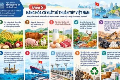 Bài 4: Xác định xuất xứ Việt Nam đối với hàng hóa sản xuất và lưu thông trong nước