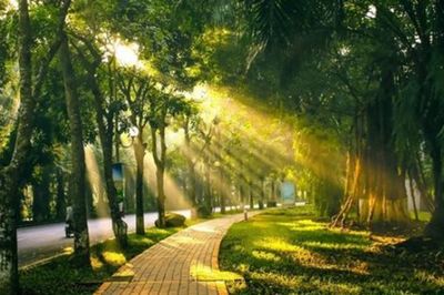 Thời tiết ngày 21/10: Hà Nội chiều có mưa, Tây Bắc Bộ vẫn nắng