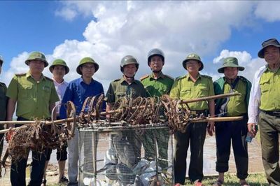 Gỡ bẫy săn bắt, trả bình yên cho chim trời