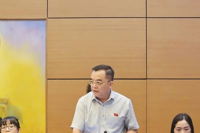 Đại biểu Quốc hội: Tránh lấy ý kiến người dân nhưng trả lời không thấu đáo