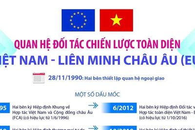 Quan hệ Đối tác Chiến lược Toàn diện Việt Nam-Liên minh châu Âu