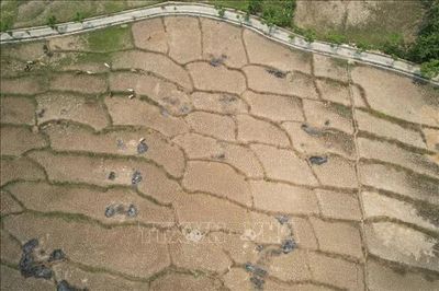 El Nino có thể mạnh vượt mọi kỷ lục