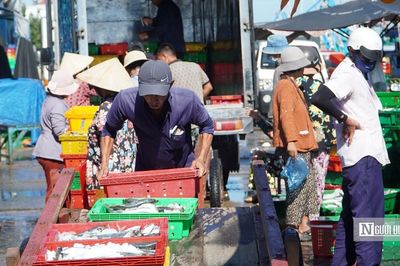 Nghề lưới vây ở Lâm Đồng: Trúng đàn cá, cả tàu phấn khởi