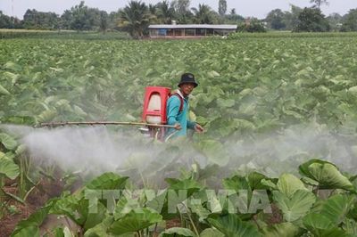 Khi mùa lũ Đồng Tháp không còn là mùa bỏ ruộng