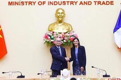 Việt Nam - Pháp mở rộng hợp tác thương mại, công nghiệp và năng lượng