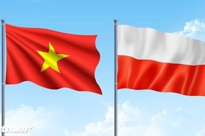 Kim ngạch thương mại Việt Nam - Ba Lan duy trì đà tăng trưởng