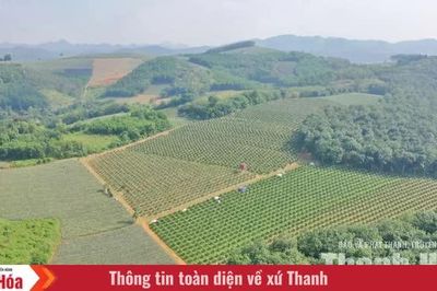 Trên đồng đất Yên Thịnh