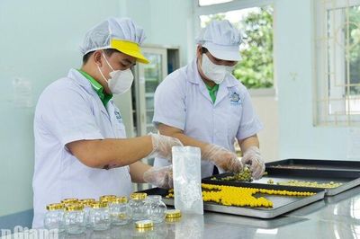 An Giang: Khởi nghiệp từ nông sản cần thêm trợ lực