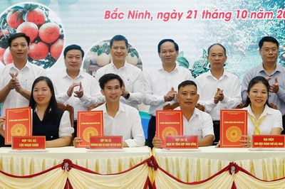 Bắc Ninh: Đẩy mạnh kết nối tiêu thụ trái cây chủ lực
