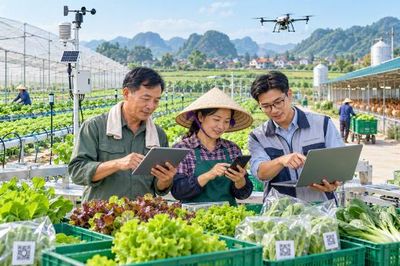 Gỡ nút thắt quản trị nâng cao hiệu quả sản xuất