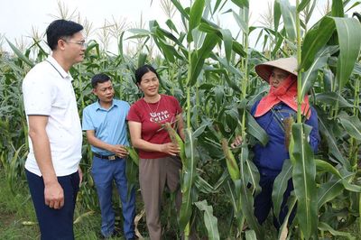 Cấp ủy sâu sát, tháo gỡ khó khăn cho nông dân