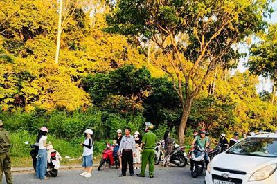 Cho khỉ ăn là hành vi ảnh hưởng đến tập tính tự nhiên