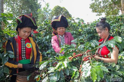 Đầu tư phát triển nông nghiệp xanh - thông minh - bền vững
