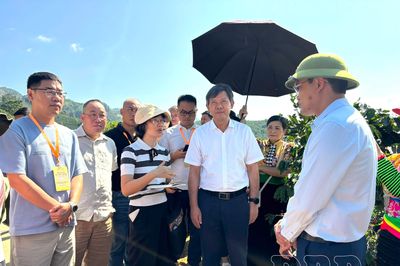 Nhà đầu tư tìm kiếm cơ hội tại Điện Biên