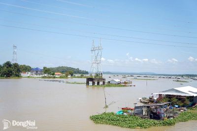 Lũ trên sông La Ngà vượt mức báo động 2, nguy cơ gây ngập tại một số địa phương