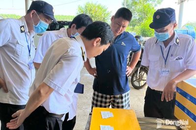 Kiểm tra các cơ sở chăn nuôi heo vỗ béo tại phường Trị An