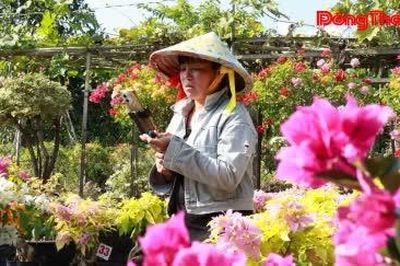 Đồng Tháp: Nông dân sản xuất giỏi đẩy mạnh chuyển đổi số