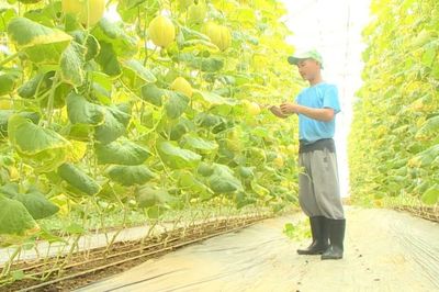 Đổi mới hoạt động, đồng hành cùng hội viên nông dân