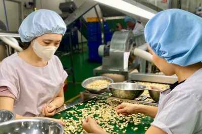 Gia Lai thành lập Tổ công tác tháo gỡ vướng mắc các dự án đầu tư ngoài ngân sách