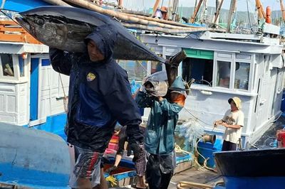Minh bạch nguồn gốc, rộng đường xuất khẩu thủy sản