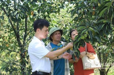 Phường Kỳ Lừa: Để người dân tiếp cận chính sách
