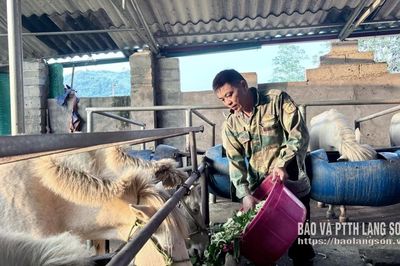 “Bạch mã” mở hướng phát triển kinh tế ở Điềm He