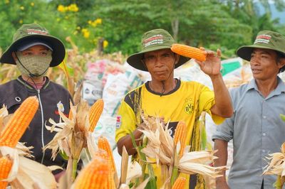 Giống bắp lai mới giúp đồng bào vùng núi tăng thu nhập