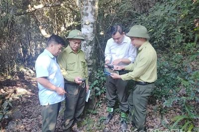 Giữ màu xanh đại ngàn Hang Kia - Pà Cò