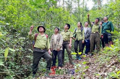 Nâng cao ý thức phòng cháy, chữa cháy rừng