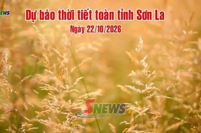 Dự báo thời tiết toàn tỉnh Sơn La ngày 22/10/2026