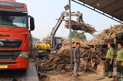 Tăng cường quản lý các cơ sở kinh doanh, chế biến lâm sản
