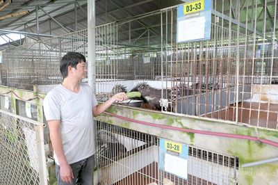 Mở hướng cho hàng hóa chất lượng cao