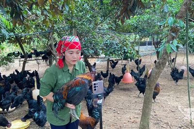 Khi nông sản lên sóng livestream