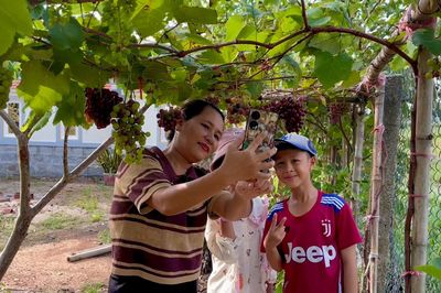 Vườn nho bên đầm Cầu Hai