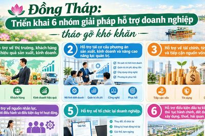 Đồng Tháp: Triển khai 6 nhóm giải pháp hỗ trợ doanh nghiệp tháo gỡ khó khăn