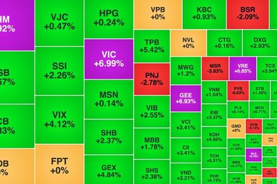 Nhóm bất động sản 'đồng khởi' kéo VN-Index tăng gần 47 điểm