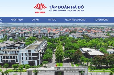 Tập đoàn Hà Đô bị xử phạt, truy thu thuế hơn 3 tỷ đồng