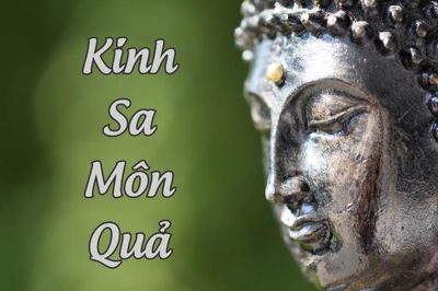 Từ quả Sa môn đến chiến lược đào tạo tăng tài trong giáo dục Phật giáo