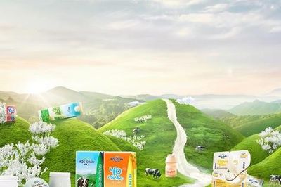 Mộc Châu Milk (MCM) báo lãi trước thuế 9 tháng vượt 234 tỷ đồng, nắm giữ hơn 1.400 tỷ đồng tiền mặt